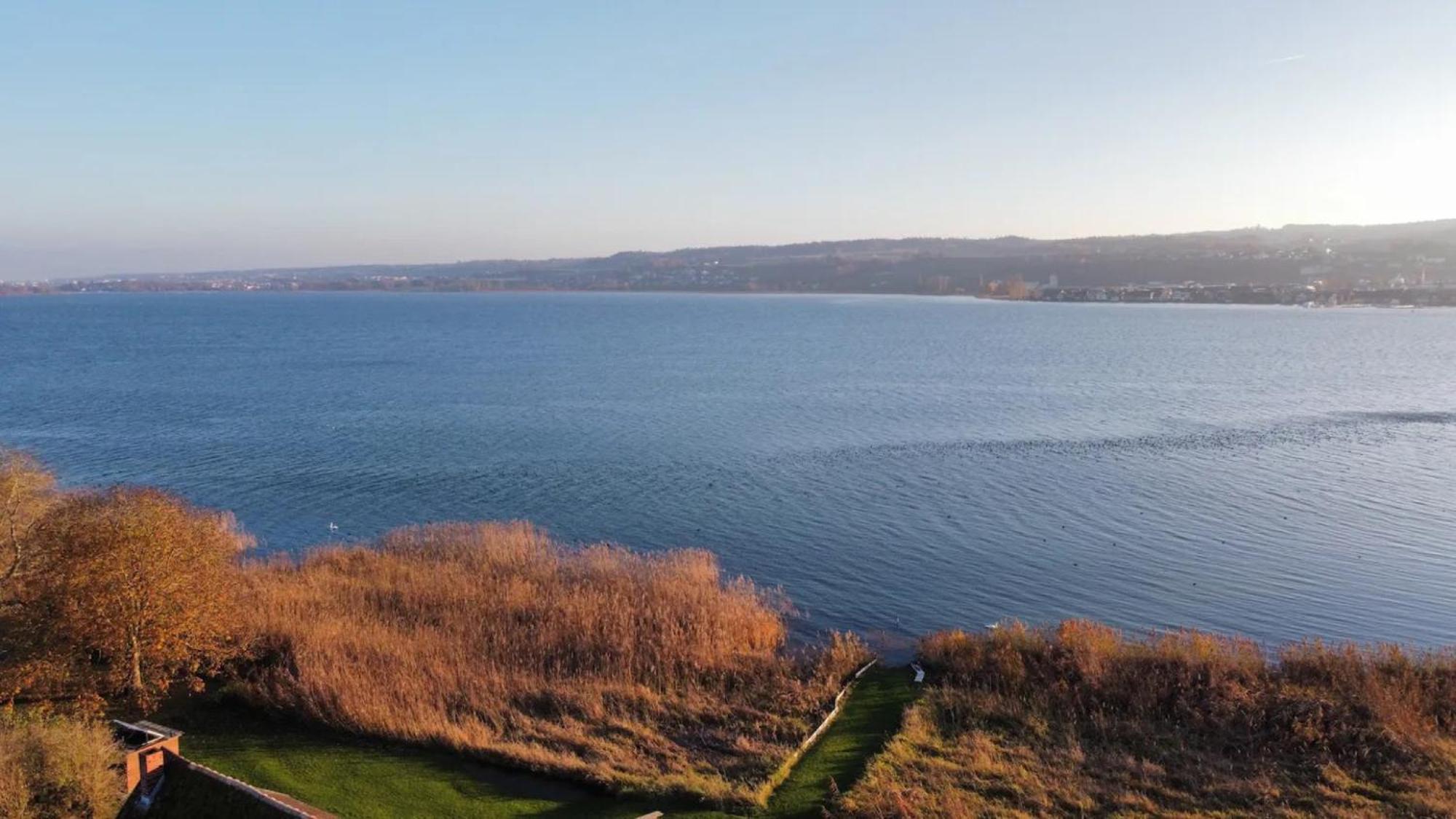 Seeluft Direkt Am Wasser Reichenau Eksteriør bilde