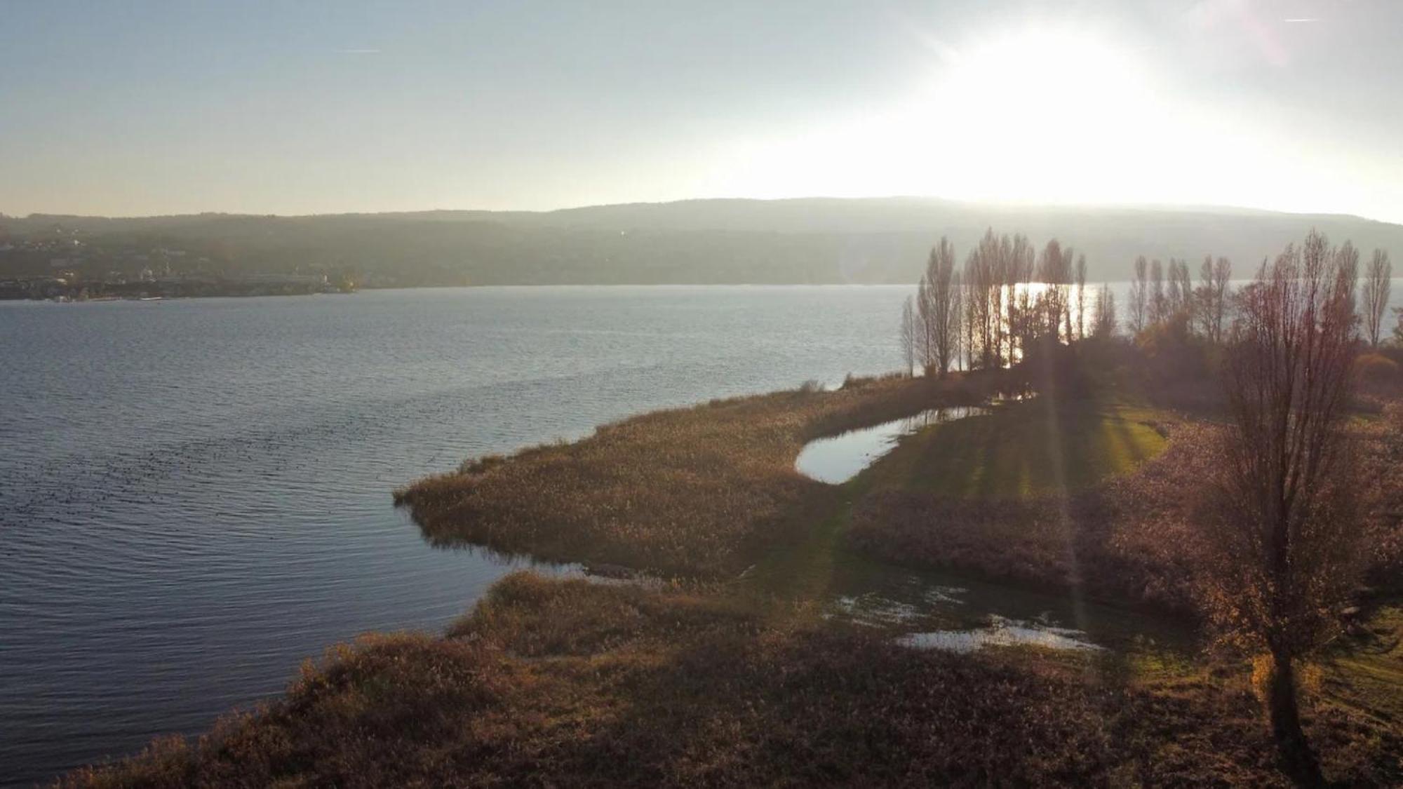Seeluft Direkt Am Wasser Reichenau Eksteriør bilde